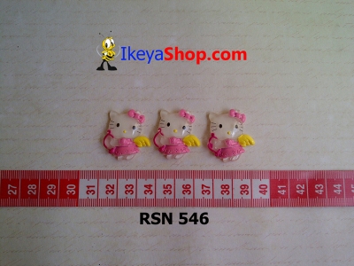 rsn 546  large2